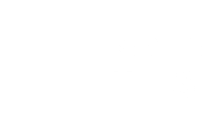 secure TLS icon